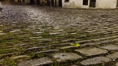 Slow-moving shot glides over wet brick road, leading up to old street buildings Stock Footage 306287528