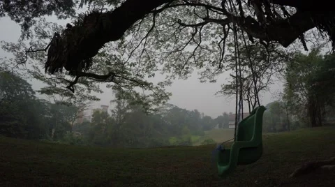 Slow Moving Swing Hanging off a Tree Branch (No People) Stock Footage 55239404