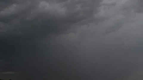 Slow moving thick clouds with flying bugs HD Stock Footage 134737336