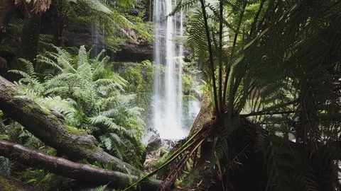 Slow moving time lapse on slider near water fall in rain forest Stock Footage 106871999