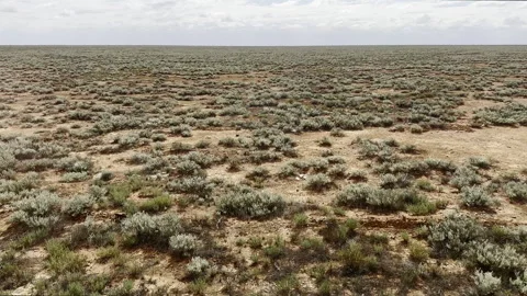 Slow moving train passes over vast Nullarbor Plain-covered in Saltbush Stock Footage 242833367