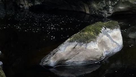 Slow moving water passing large boulder in stream Stock Footage 93877523