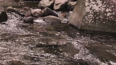 Slow moving waters of a small mountain creek. HD Stock Footage 138716785