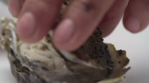 Slow opening of the oyster shell. Stock Footage 77676915