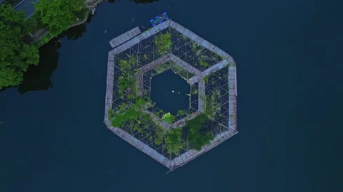 Slow orbit drone frame highlighting the diagonal fish pond shape at Sampaloc Stock Footage 343078335