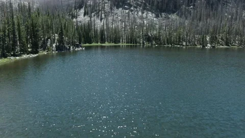 Slow Overhead of a Forest Lake 库存影片 201446009