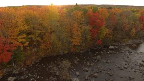 Slow pace drone flight over river at sunset showing beautiful fall trees Video stock 119220497