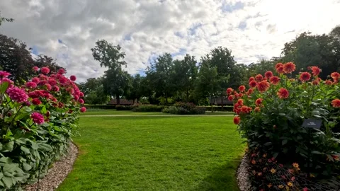 Slow Pan Across Flower Beds in Dutch Botanical Garden Vídeos de archivo 315329390