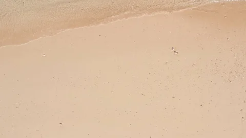 Slow pan along a shell covered sandy beach as waves gentle lap the shore Stock Footage 125112305