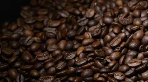 Slow pan and defocusing on coffee beans Stock Footage 22105527