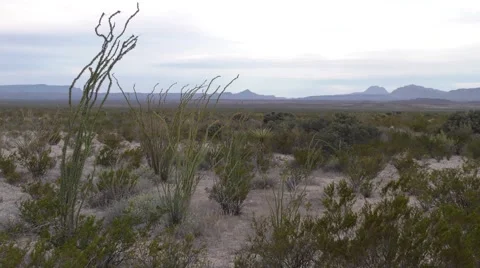 Slow Pan of Arid Barren Desert Landscape at Big Bend National Park Texas Vídeos de archivo 59163582