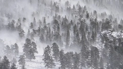 Slow Pan as Bitter Cold Winter Wind Blows Snow Through Trees on a Mountainside Video stock 241015484