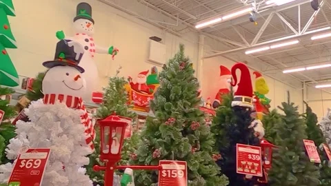 Slow pan of Christmas Trees in Walmart with prices Stock Footage 144005466