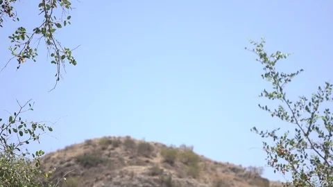 Slow Pan from Clear Sky to Branches and Desert Mountain Stock Footage 78548432