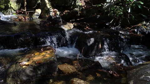 Slow Pan, Close Up of a Creek Stream Flowing in the Mountains of Tennessee. Stock Footage 143228534