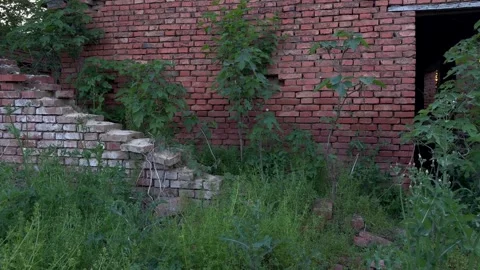 Slow Pan of Collapsed Brick Wall inside Abandoned Pig Farm Stock Footage 333939461