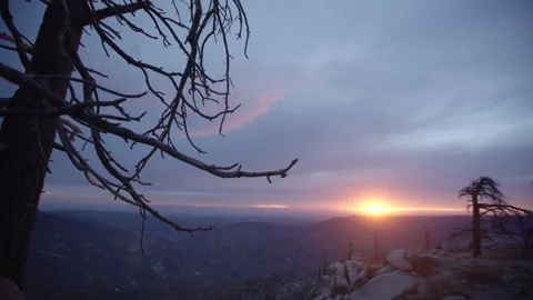 Slow Pan from Dead Tree to Dramatic Sunset Over Mountain Horizon Stock Footage 315477199