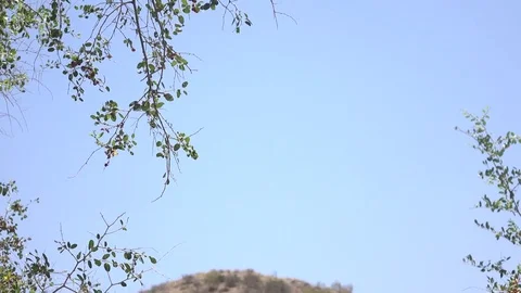 Slow Pan Down From Blue Sky to Mountaintop Stock Footage 78548395