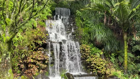 Slow pan down a cascading waterfall surrounded by tropical greenery Stock Footage 205429045