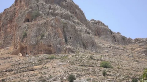 Slow Pan Down Shift Focus from Mountaintop to Branches Stock Footage 78305737