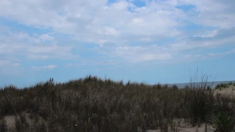Slow Pan Down From Sky To Dune Grass North Carolina Stock Footage 106673768