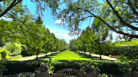 Slow pan down through large landscaped garden to reveal shady bench Stock Footage 239099902