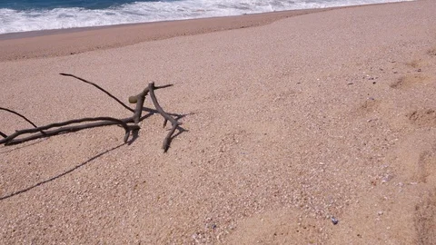 Slow pan up on empty sandy beach with piece of driftwood Stock Footage 105835305