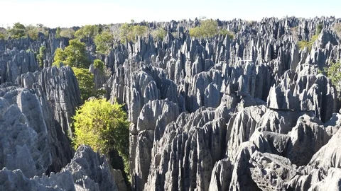 Slow Pan of Endless Limestone Forest Peaks, Tsingy, Madagascar Stock Footage 117434253