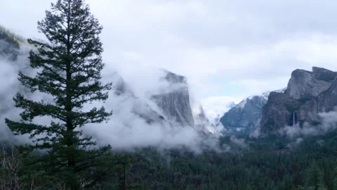 Slow Pan Handheld Yosemite Valley Early Morning Winter Mist Fog Stock Footage 335719933