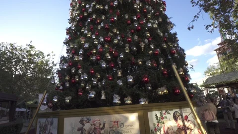 Slow Pan Up of Large Christmas Tree Stock Footage 112893751