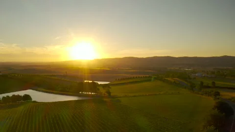 Slow pan left aerial perspective over dramatic vineyard landscape with Stock Footage 156010110
