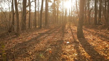 Slow pan left of sunset Stock Footage 85800654