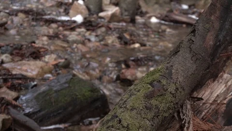 Slow pan of log in focus with stream Stock Footage 88010759