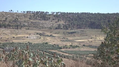 Slow Pan Over Barren Field in Dry Landscape in Israel Stock Footage 78551808