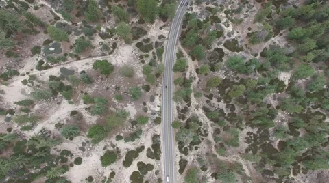 Slow Pan Over Forest Video stock 54643398