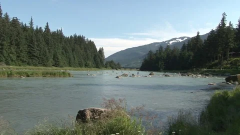 Slow Pan over river in Alaska Stock Footage 85231564