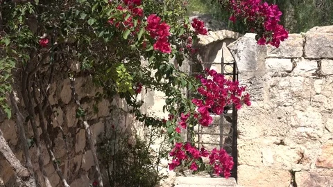 Slow Pan Over Small Gate in Church Courtyard in Israel Stock Footage 78550076
