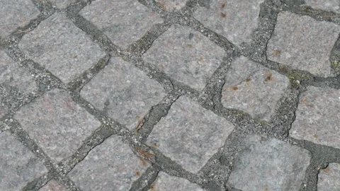 Slow pan over stone path grey Video stock 106061910