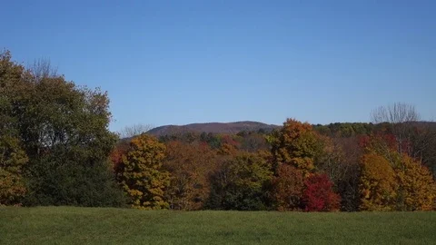 Slow pan past fall trees on the edge of a field Video stock 72357747