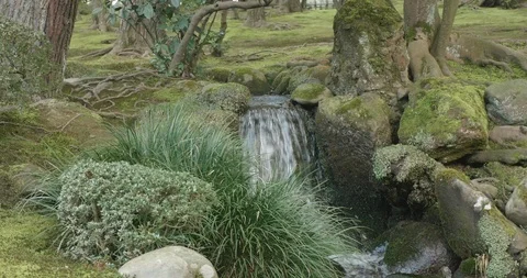 Slow pan past a small waterfall, with rocks covered in bright green moss Stock-Footage 111928433