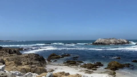 Slow Pan Pebble Beach Coast Stock Footage 169112216