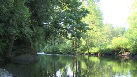 Slow pan of a quiet tranquil river Video stock 75276777