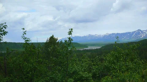 Slow Pan Right, Green Trees, Forest, Stream, Mountains Stock Footage 37380492