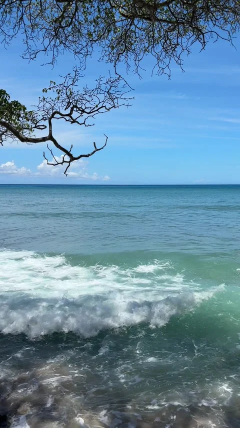 Slow pan right  to left at caribbean deserted beach Stock-Footage 335894943
