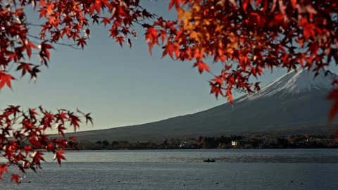 Slow pan right revealing Mount Fuji behind autumn leaves at Lake Kawaguchiko Stock Footage 337054477