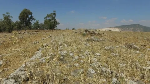 Slow Pan Up From Rubble of Old Roman Road Видео 77881245