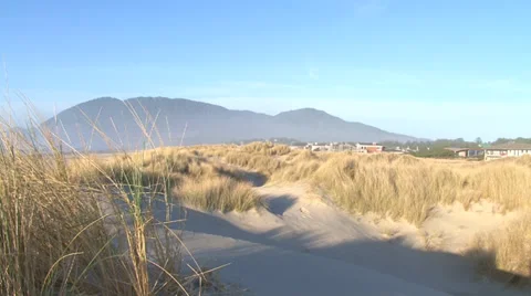 Slow Pan Sandy Ocean Dunes Stock Footage 34474168