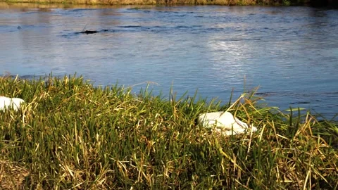 Slow pan shot, plastic bags filled with plastic bottles near a small clean river Stock-Footage 321606053