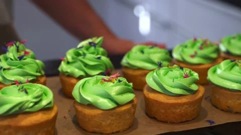 Slow pan show of two rows of cupcakes Stock Footage 219065582