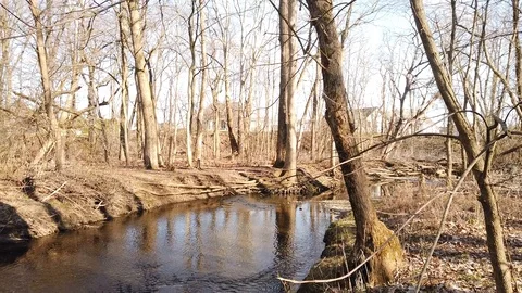 Slow pan up the stream Stock Footage 126557887